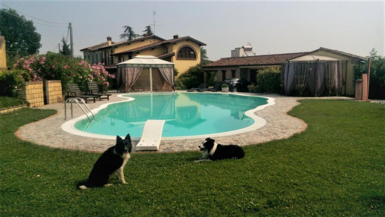 B&B Il Martin Pescatore Bagnolo San Vito Exterior foto