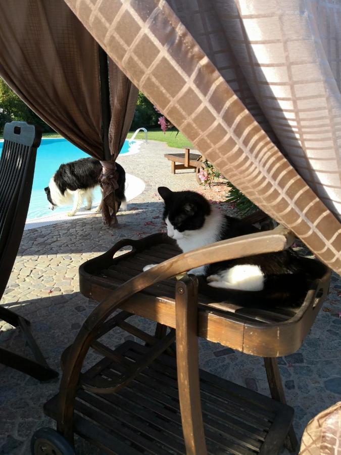 B&B Il Martin Pescatore Bagnolo San Vito Exterior foto